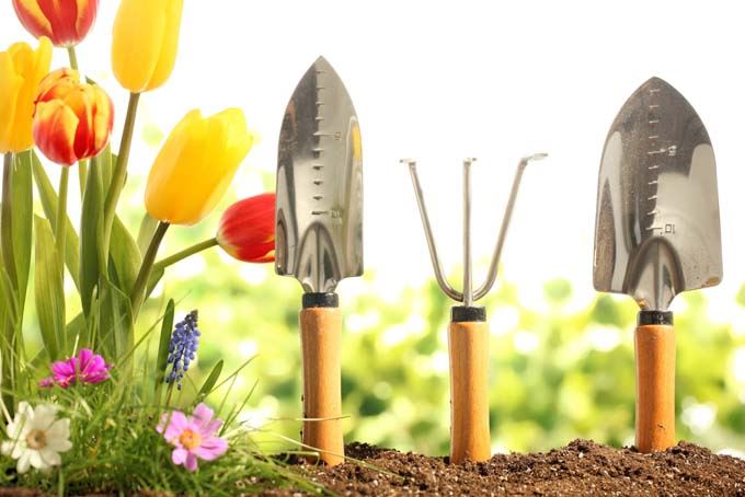 The Most Essential Tools That Should Be In Every Gardener S Shed   MostEssential HDR 42720 