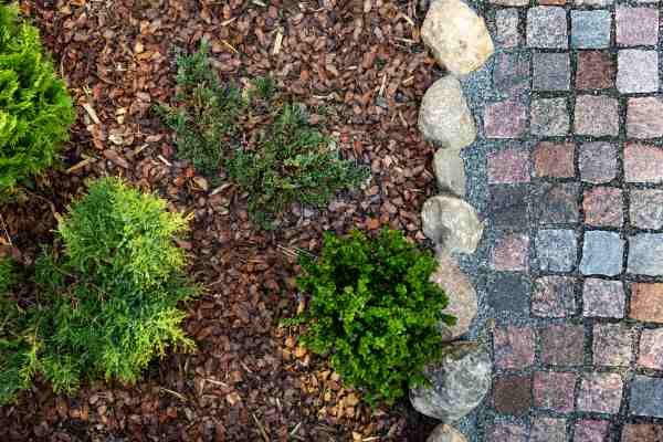 Advantages And Disadvantages Of Mulching