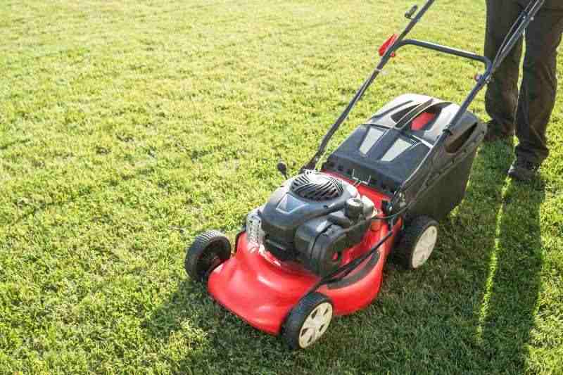 Gas Lawn Mower VS. Electric Lawn Mower: Which has better energy