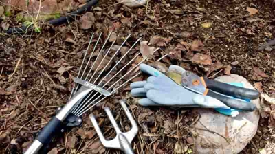 The Most Essential Tools That Should Be In Every Gardener’s Shed