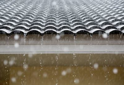 How to Harvest Rainwater