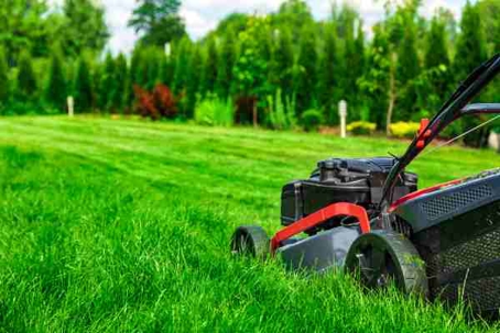 7 Ways to Recycle Grass Clippings