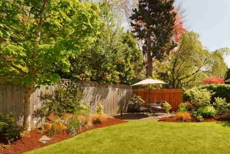 Landscaping Tips for Beginners