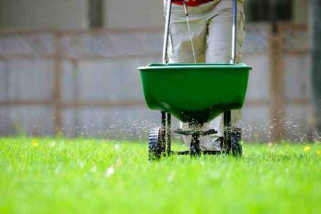 Should You Fertilize Your Lawn