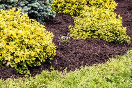 Benefits of Low-Maintenance Landscaping