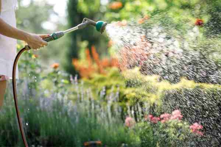 Easy Ways to Save Water in Your St. Louis Yard and Garden