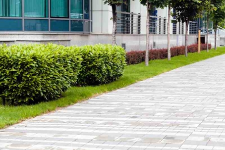 How Landscaping Adds Value to Your St. Louis Commercial Property