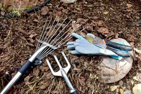 7 Ways to Kill Yard Weeds, Naturally