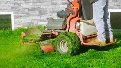 Spring Landscape Cleaning Tips