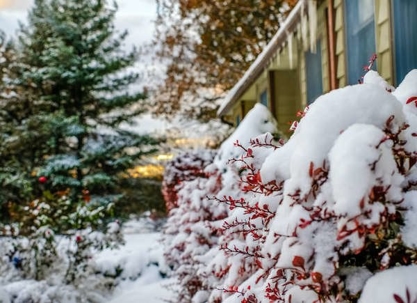 Preparing Your Landscaping for Winter: A Comprehensive Guide